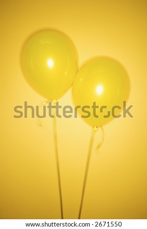 Still life of yellow balloons on yellow background.