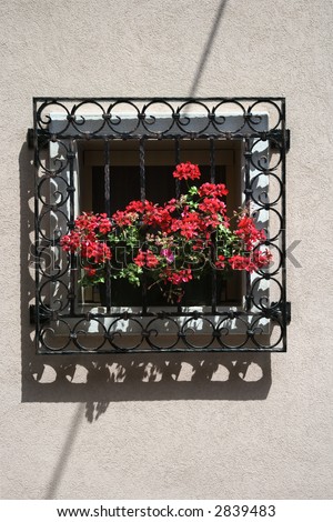 Potted red geraniums peeking through iron bars on sunny window sill.