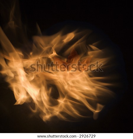 Circle of flames enveloping a single Maple leaf.