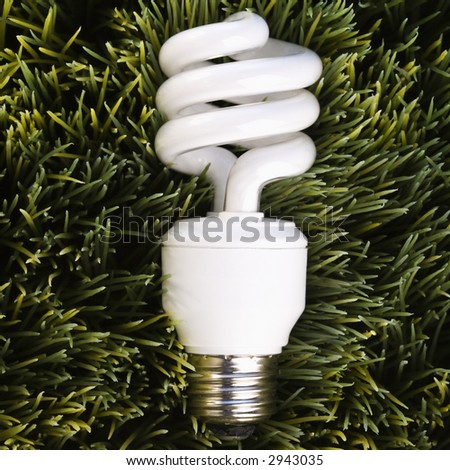 Studio shot of energy saving light bulb laying in grass.