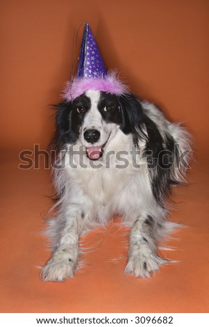 Black And White Party. stock photo : Black and white