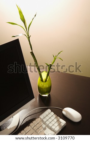 Computer on desk with lucky bamboo in vase.