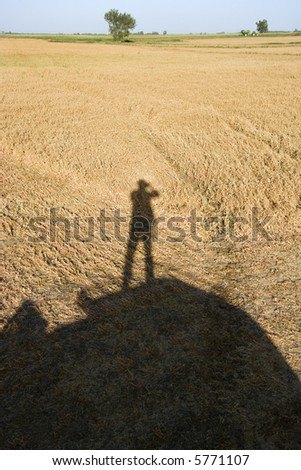 Shadow of figure standing on farm equipment overlooking harvested cropland.