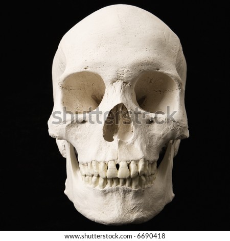 Human skull with teeth on black.