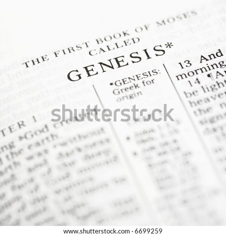 Selective focus of Genesis verses in open Holy Bible.