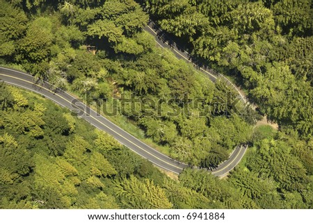 Highway With Trees