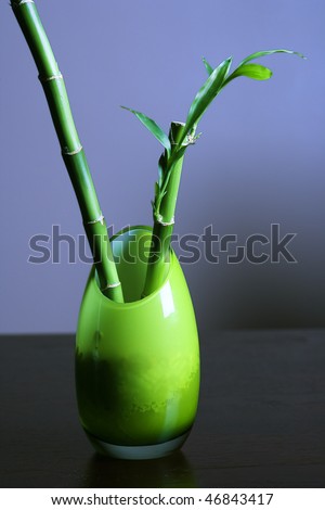 Bamboo in a opaque green glass vase sitting on a table or desk. Vertical shot.