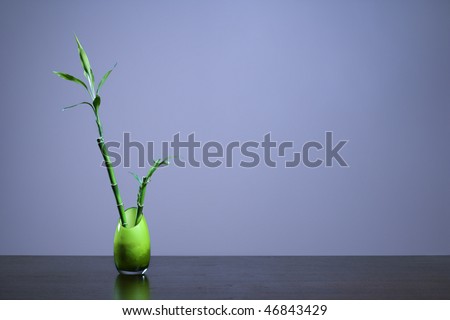 Bamboo in a green opaque glass vase sitting on a table or desk. Horizontal shot.