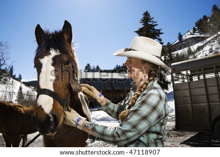 Grooming A Horse. stock photo : Attractive young woman wearing a cowboy hat and grooming a horse. Horizontal