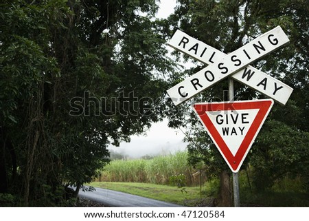 Railroad crossing sign near a rural road. Fog can be seen through a clearing in the distance. Horizontal shot.