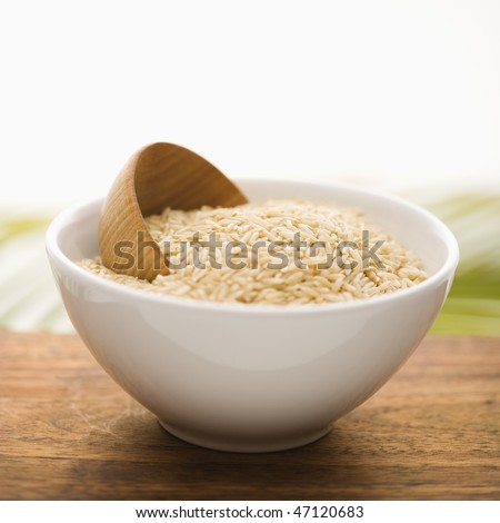 White ceramic bowl containing rice and a wooden cup. The bowl is on top of a wood surface, and a palm frond is in the background. Square format. Isolated on white.
