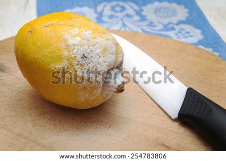 moldy lemon on wooden board with a ceramic knife
