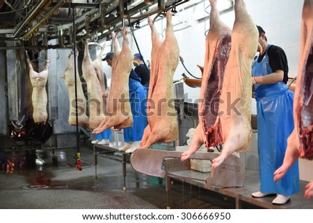 Russia, Saint-Petersburg, village of Telman - August 2015: a plant for the production of meat products. Workers cut up the carcass of pork production in Russia, the village of Telman.