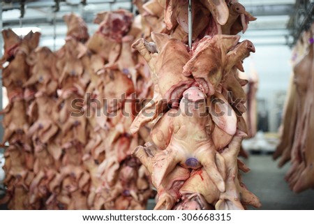 head pigs hanging on hooks in a meat factory
