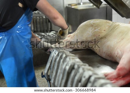 worker cleans pork in meat production