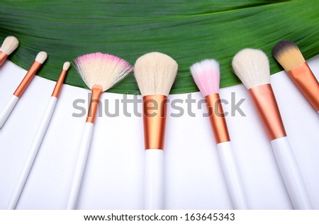 Makeup Brushes on green leaf