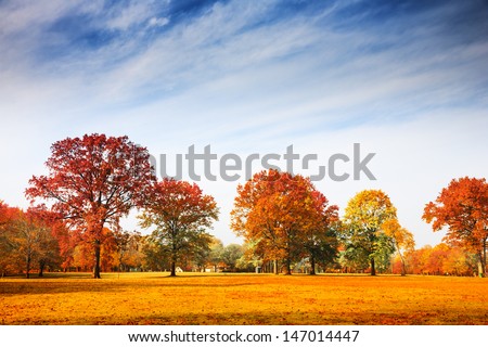 Colorful autumn trees landscape fall season
