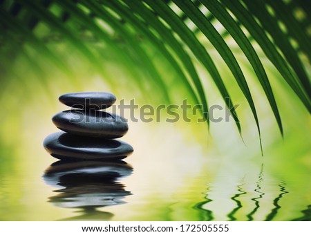 Grean bamboo leaves over zen stones pyramid reflecting in water surface