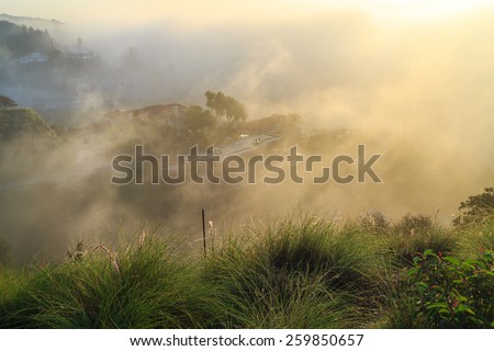 Beautiful sunrise over fog covering Hollywood Hills, Los Angeles, California.