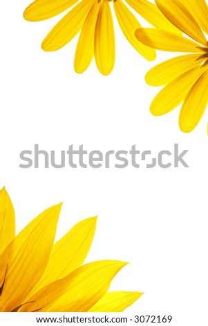 blank white page. stock photo : Blank white page