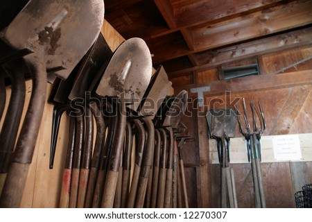Gardening tools inside garden shed
