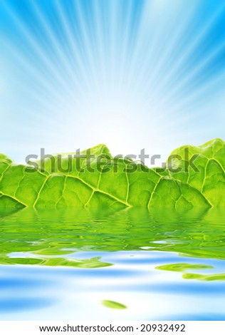 Fresh greenery with rays of sun rising over blue sky.