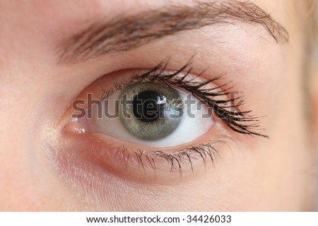 stock-photo-beautiful-female-eye-macro-close-up-34426033.jpg