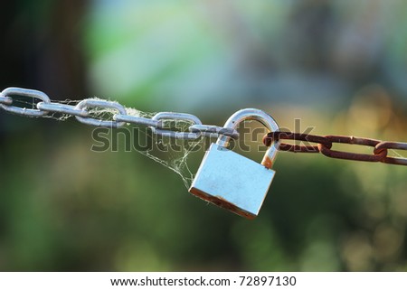 Padlock locked on chain links covered in spider web