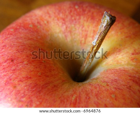 orchard ripe macro of gala apple and stem
