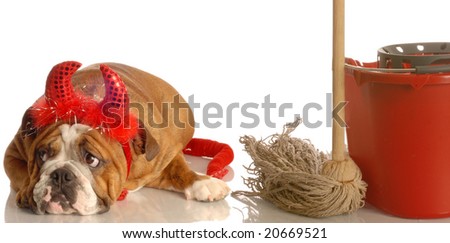 bulldog dressed as devil with mop and bucket - the devil made me do it
