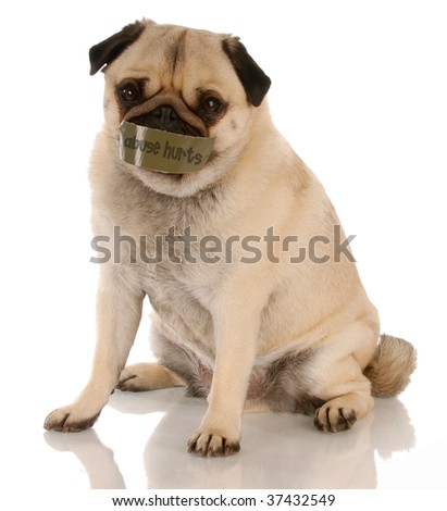 pug mouth