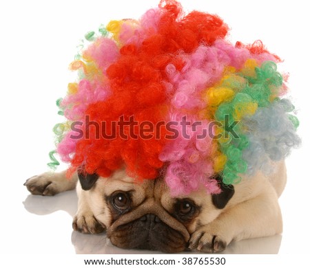 Clown With Dog