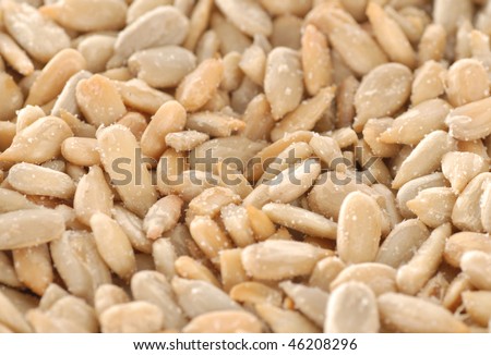 salted sunflower seeds - great background texture