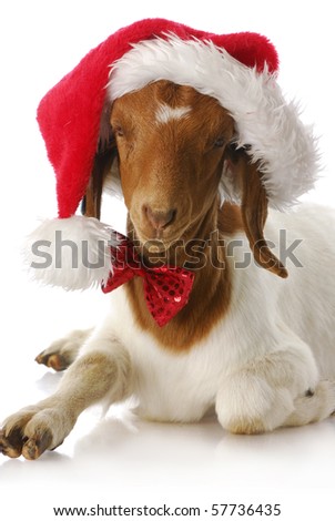 Boer Goat Logo