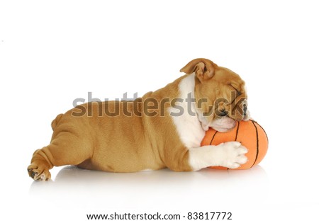 Stuffed Basketball