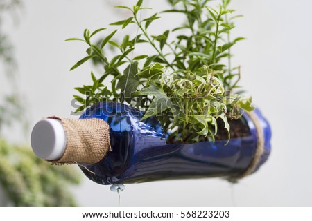 An image of a recycled bottle with plants