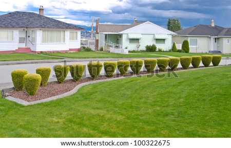 Landscape design. Nicely trimmed bushes at the front yard. Empty street and great quiet neighborhood.  North America.