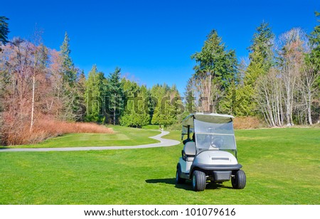 Golf cart on the course with colorful background and dark blue sky.