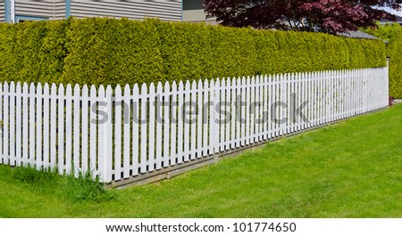 A corner of white fence with nicely trimmed bushes.