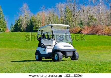 Golf cart on the course with colorful background and dark blue sky.