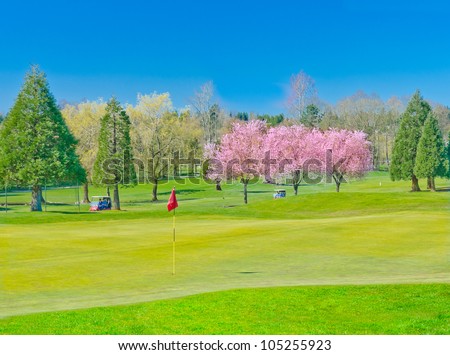 Nice looking golf course with two carts and red flag
