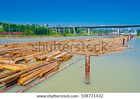 Raw logs floating down the river. Floating Boom ready to be towed.