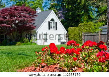 Some flowers on the lawn in  front of the house. Landscape design.