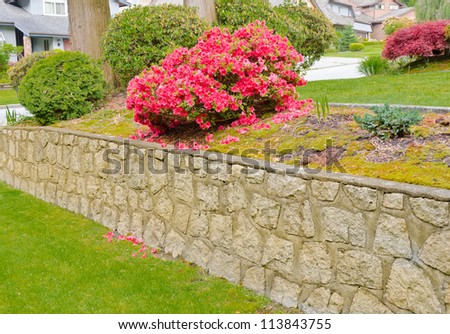 Some flowers and nicely trimmed bushes on the leveled front yard. Landscape design.