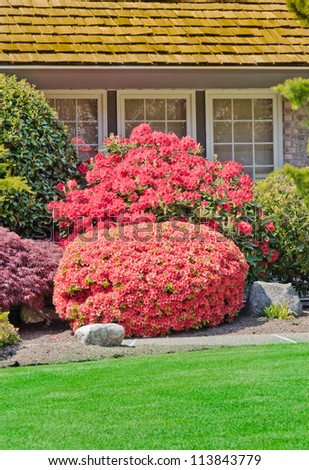 Some Flowers And Nicely Trimmed Bushes In Front Of The House ...