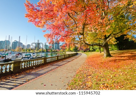 Colors Of The Autumn. Gorgeous Sea Walk In The Park. Stanley Park In Vancouver. Canada.