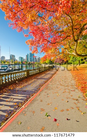 Colour of the autumn. Gorgeous sea walk in the park. Stanley Park in Vancouver. Canada.