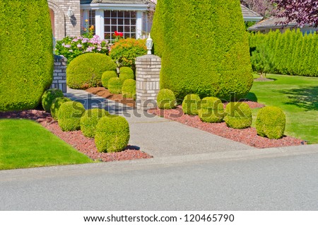 Landscape design. Nicely trimmed bushes in front of the house,  front yard, along the doorway.