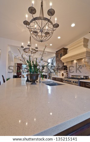 Interior design of a luxury modern kitchen with some flowers in the pot on the counter.