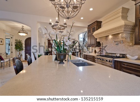 Interior design of a luxury modern kitchen with some flowers in the pot on the counter.